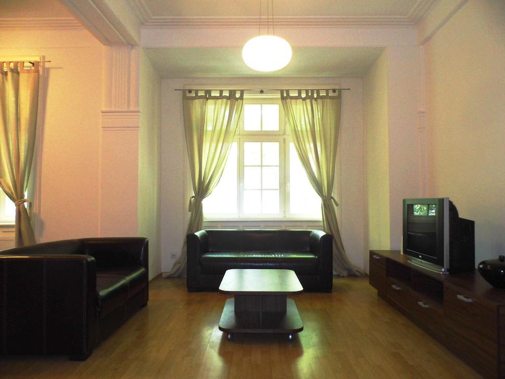 Lion Apartments Medena, Big Size, High Ceilings Bratislava Ruang foto